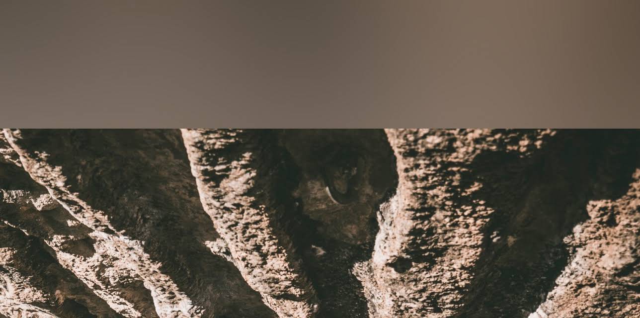 The Alex Megos Formula