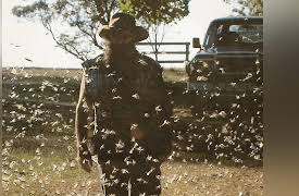 Return of the Bible Plagues: Mosquitos