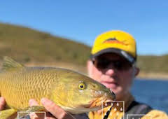 Nicola Zingarelli: Leyenda del spinnig: Carpas y barbos