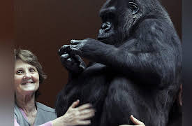 Preposterous Pets Season 1: Lizard Lovers and Rodent of Unusual Size