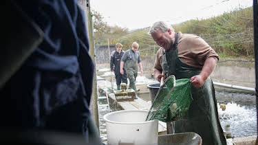 18:15: Die Nordreportage: Frische Forellen, neue Ideen | Radio Bremen | 5/12 2026