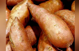 Food: A Cultural Culinary History: 1492-Globalization and Fusion Cuisines