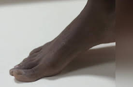 The Quick and the Curious Season 1: How to Walk on Water