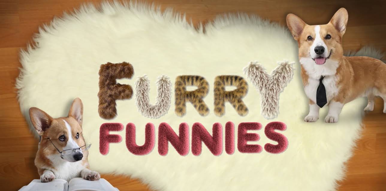 Furry Funnies: Animal & Pet Videos
