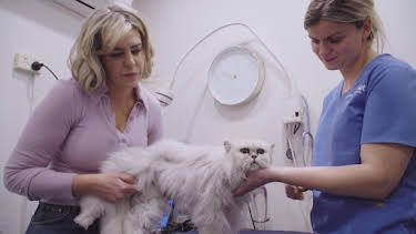 05:25: Australiens Tierrettung - Einsatz am Bondi Beach | Sixx | 8/24 2025