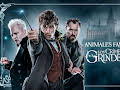HOME CINEMA: 'ANIMALES FANTASTICOS: LOS CRIMENES DE GRINDELWALD'