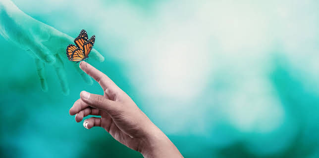 Surviving Death: Berättelser från andra sidan