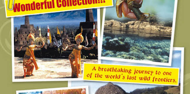 11:00 AM: Wild Indonesia | Nat Geo Wild | 11/23 2025