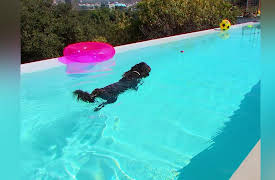 The Jennie Garth Project Season 1: Pool's Out for Summer