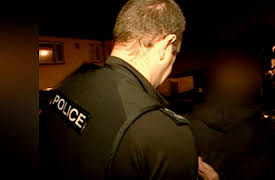 Brit Cops: Devon / Cornwall