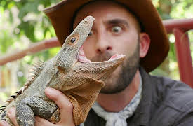 Season 1: Jurassic Lizards