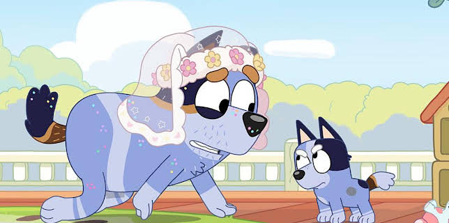 10:30 AM: Bluey (S1) | Cbeebies | 12/6 2025