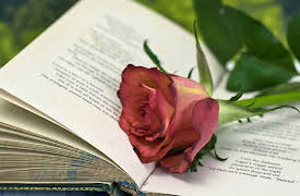 Analysis and Critique: How to Engage and Write about Anything: The Uses of Poetry