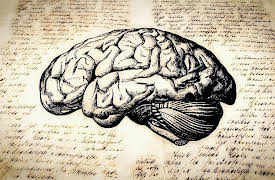 The Brain that Changes Itself: Changing Your Mind