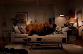 Turner & Hooch, S1: Forever and a Dog