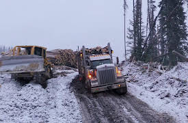 Mud Mountain Haulers: Episode 8