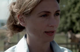 Wallander Season 1: Firewall