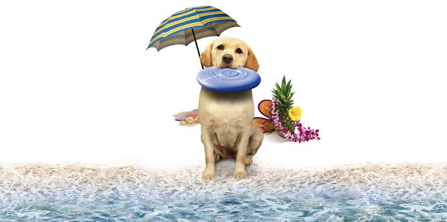 The Dog Who Saved Summer (2015)