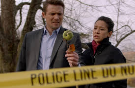 Hudson & Rex Season 1: The Pet Sitter