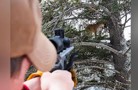 Moment Of Impact: The Jumper