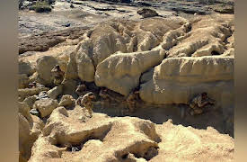 No Man Left Behind Season 1: The One That Got Away