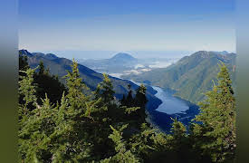 Undiscovered Vistas: The Canadian Rainforest