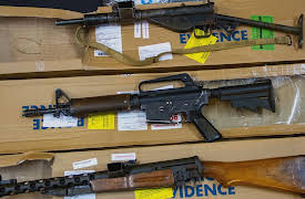 Big Little Crimes Season 1: Robbery Rampage