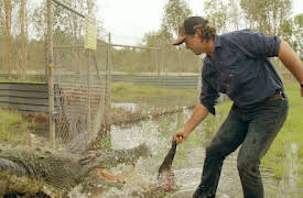 Wild Croc Territory: Hora de comer