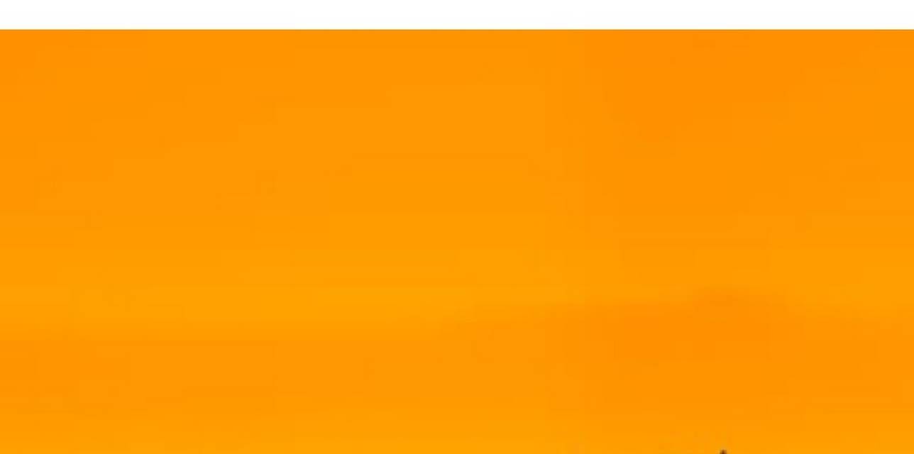 The Three Stooges Cartoons