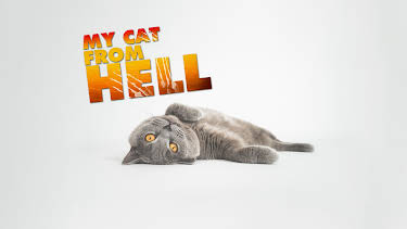 16:00: My Cat From Hell (S6 E3) (S6) | Animal Planet | 4/20 2026