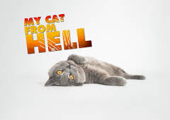 My Cat From Hell