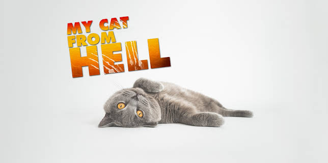 16:00: My Cat From Hell (S6 E2) (S6) | Animal Planet | 2/10 2026