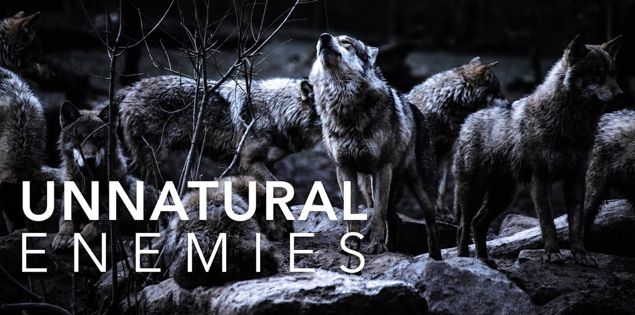 Unnatural Enemies: The War On Wolves (2026)