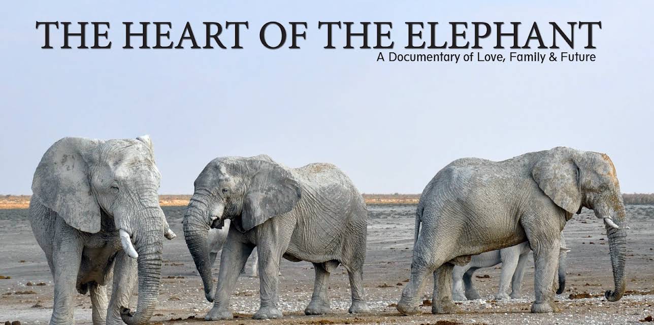 The Heart of the Elephant (2019)