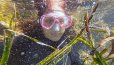 Re: Die Seegras-Retter von den Balearen