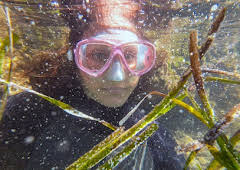 Re: Die Seegras-Retter von den Balearen