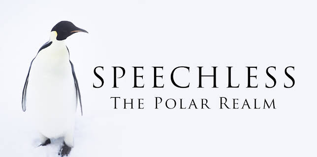 Speechless: the Polar Realm (2015)