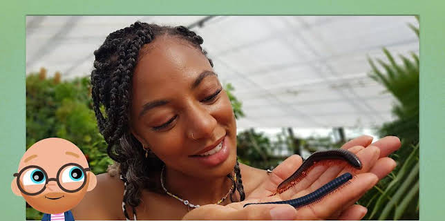 12:15 PM: Teeny Tiny Creatures (S2) | Cbeebies | 12/3 2025