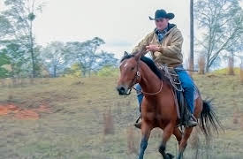 The Cowboy Way: Is It A Boy or a Girl?