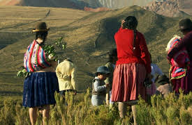 Wildest: Latin America: The Andes: World in the Clouds