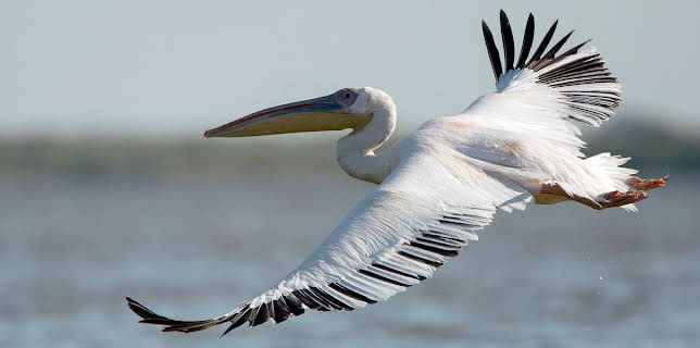 06:02: GEO Reportage | Arte | 11/27 2025