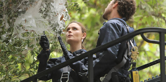 07:30: Bones (S8 E11) (S8) | Viasat Series | 2/10 2026