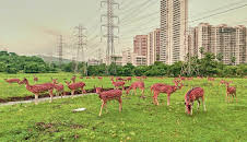 Oasen - Inseln des Lebens