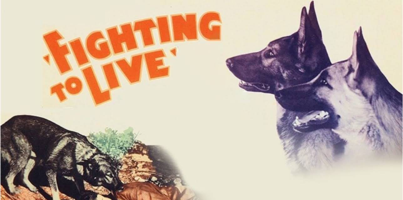 Fighting to Live (1934)