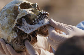 Courage Under Fire: Episode 4