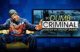 So Dumb It's Criminal Hosted by Snoop Dogg S1: Bringing Down the (Waffle) House
