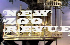 New Zoo Revue: Living Together - Cities