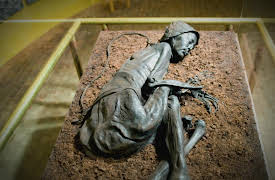 Mysteries Unearthed with Danny Trejo Season 1: Dark and Deadly