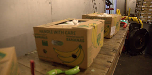 12:00: Schmugglern auf der Spur | ProSieben Maxx | 2/17 2026