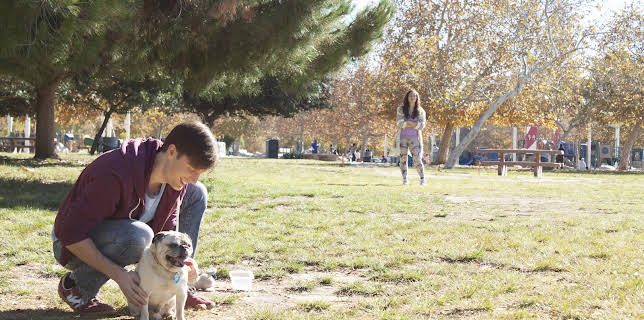 13:00: Betrayed (S3 E10) (S3) | ID | 2/10 2026